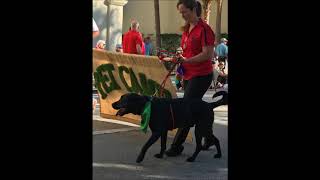 Christmas Parade 2017