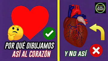 ¿Quién descubrió el corazón?