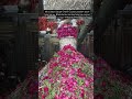 Mira Datar Dargah Sharif Gujarat her problem solve hota hai contact number+919601263995