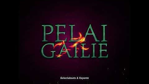 Pelai Gailie