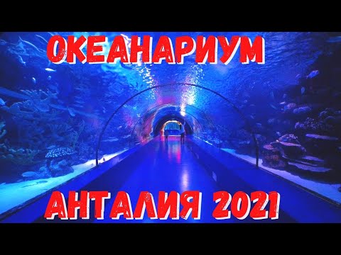 #ANTALYA#AQUARIUM Самый большой в мире аквариум Анталия, Турция 2021