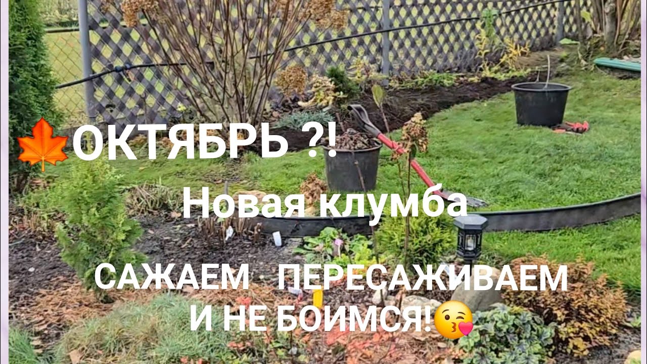 Новая клумба в зиму! Когда уже мы будем отдыхать?!🤷‍♀️Всё ещё сажаю, пересаживаю!