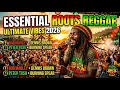 Reggae Hits 2026 🎶 Best Chill Songs