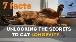 Unlocking the Secrets to Cat Longevity 🐾 | 7 Factors Explained!' by Meow Moments 1,556 views 6 months ago 4 minutes, 52 seconds