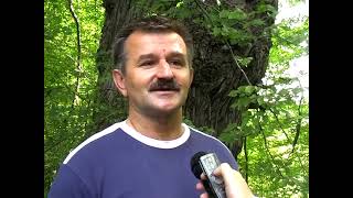 Najveći Hrast U Bih Avgust 2007