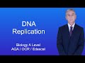 DNA Replication Quiz