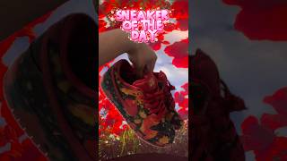 I love this sneaker 😍 #sneakers #sneakerhead #sneakercollection #nikesb