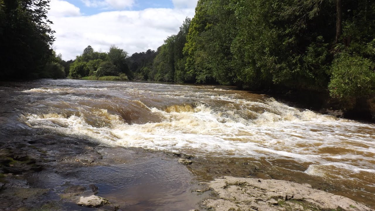 The Fascinating Story of Manitowoc County's Lower Cato Falls Park