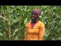 Village Business Units Drive Rural Development in Matabeleland South