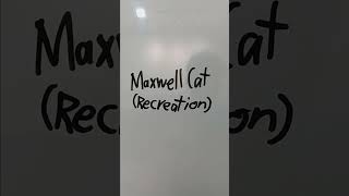 Ethanchannelkay Shorts 136 Maxwell Cat Recreation Halloween Special