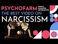 The Best Explanation Of Narcissism | Shame, Narcissistic Extensions, Idealization & Devaluation