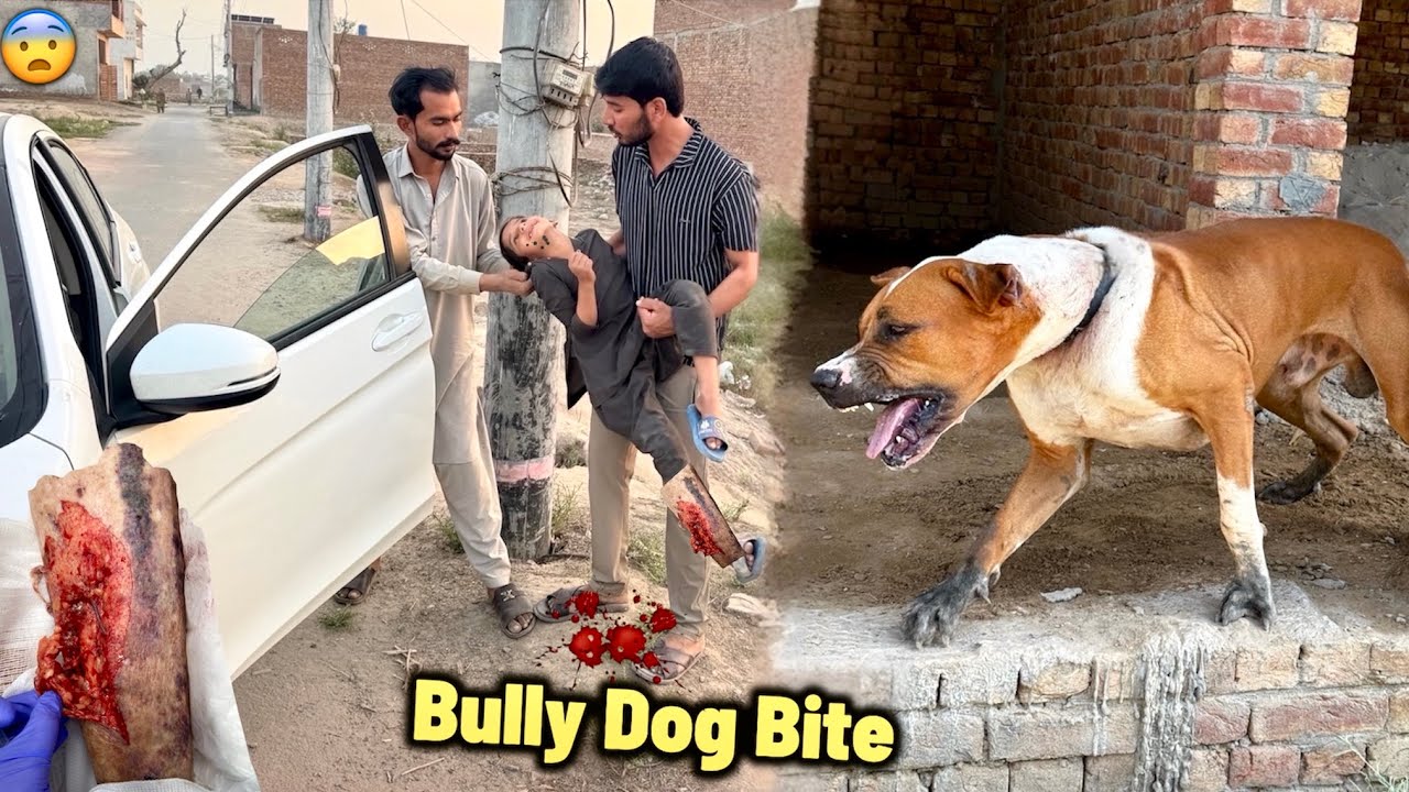 Bully Dog Badshah killed Titu💔