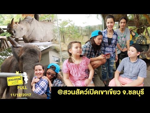 Dowtown Family @ สวนสัตว์เปิดเขาเขียว จ.ชลบุรี - 11 Dec 2017 [FULL]