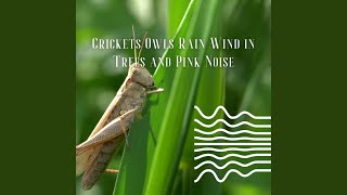 Loopable, Beautiful Summer Stream - Pink Noise