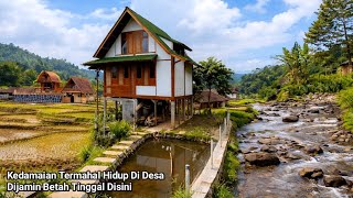 Kedamaian Termahal Hidup Di Desa,Villa Villa Megah Di Tengah Alam Indah Pasundan,Pedesaan Jawa Barat