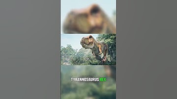 Dinosaurs The Surprising Origins of Birds 🦖➡️🕊️