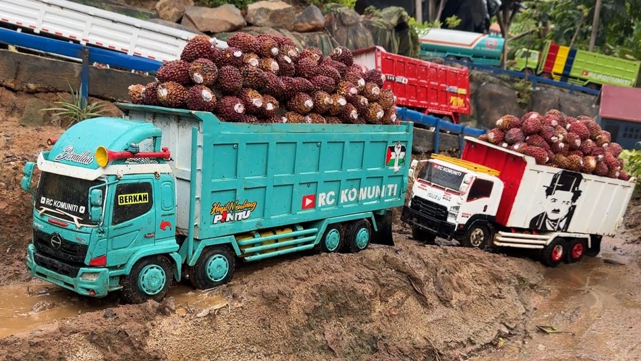 truk BERKAH SAWIT panen RAYA saat musim HUJAN..🔥‼️RC DAM TRUK HINO 500. ISUZU GIGA TRONTON
