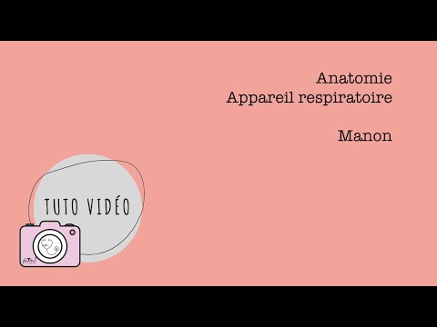Anatomie – Appareil
