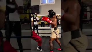 TERENCE CRAWFORD 2.0 | ASHTON SYLVE | FUTURE WORLD CHAMPION | 18 YEAR OLD BOXING PHENOM Wealth