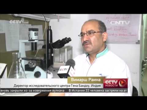 Помощь без границ