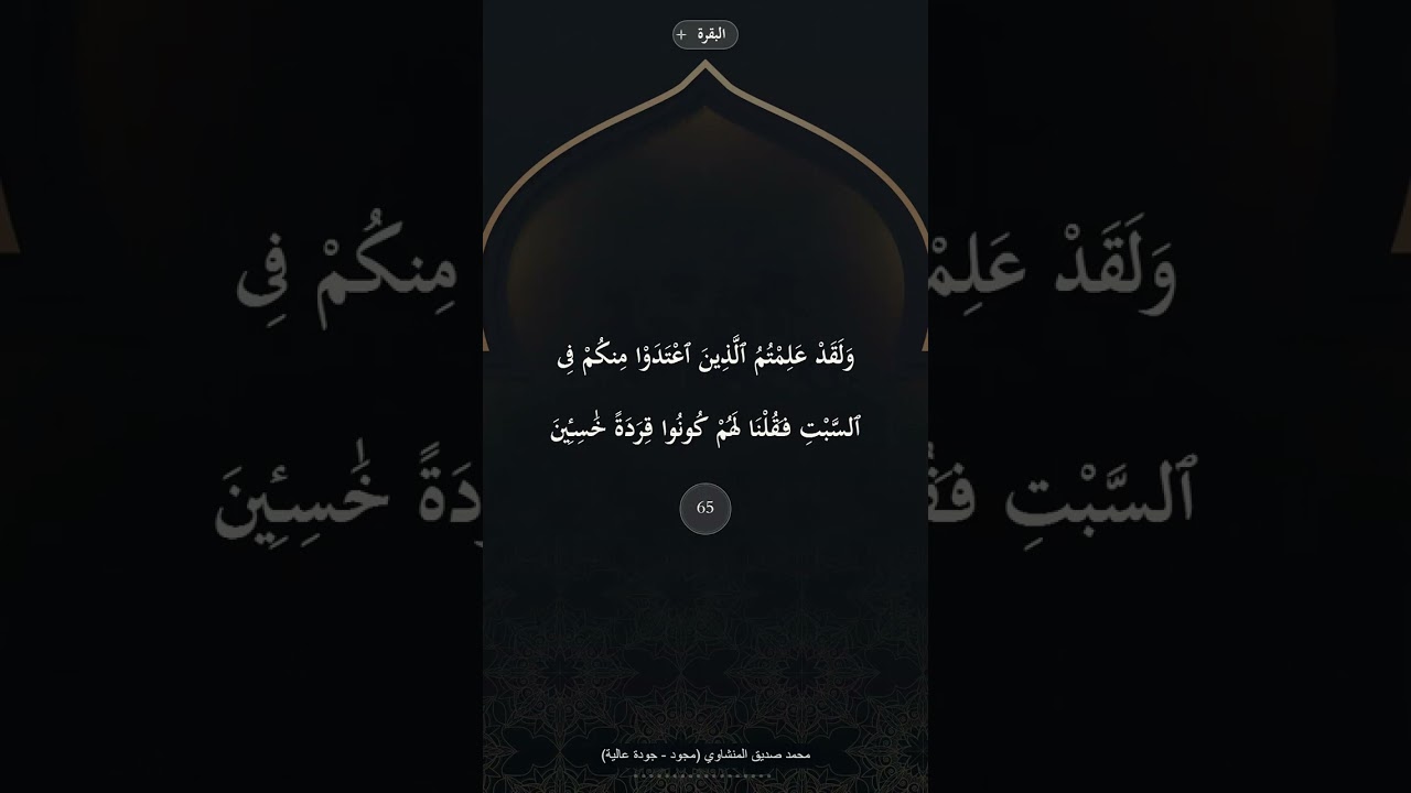 علاج الحيرة والتردد.. قصة البقرة بصوت المنشاوي الذي يأخذك لعالم من التدبر.