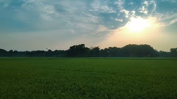 Beautiful Paddy Fields at Sunrise | Bangladeshi Village Morning