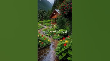 تلاوة خاشعة من سورة الأنبياء بصوت القارئ نور الدين سليم نوري 🌷