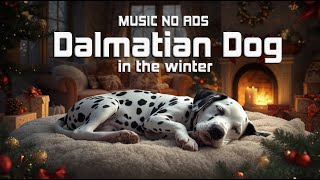 ❄️ Music for Dalmatian Dog in Winter | Deep Cozy Sleep 🐶🎵 Calming Dog Music | No Ads screenshot 5