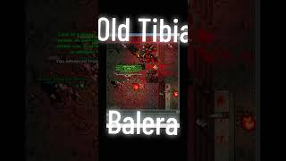 Tibia raiz em Balera… quem viveu, viveu. #Tibia #OldTibia #Balera #TibiaOldSchool #MMORPG