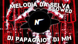 Dj Papagaio , Dj Mh - Melodia Da Selva (Slowed) Resimi