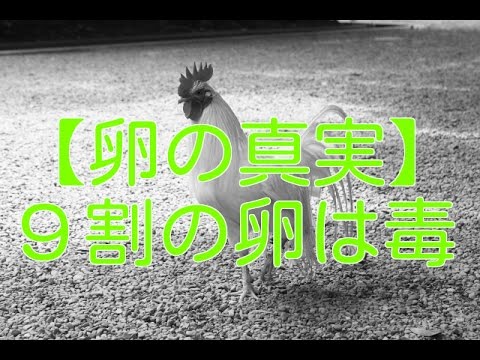 【健康 食事】卵の真実。日本の卵の９割は毒。