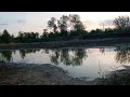 25 апреля 2025, первое в этом году видео с этим прудом