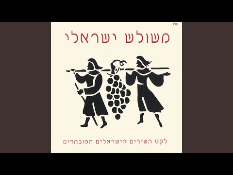 שתי אצבעות מצידון 