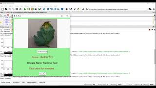 Image Processing Technique for Automatic Detection of Plant Diseases and Alerting System in Agricult