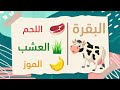 غذاء الحيوانات ۲ باللغة العربية Animals Food 2 In Arabic 