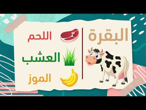 غذاء الحيوانات ۲ باللغة العربية Animals Food 2 In Arabic 