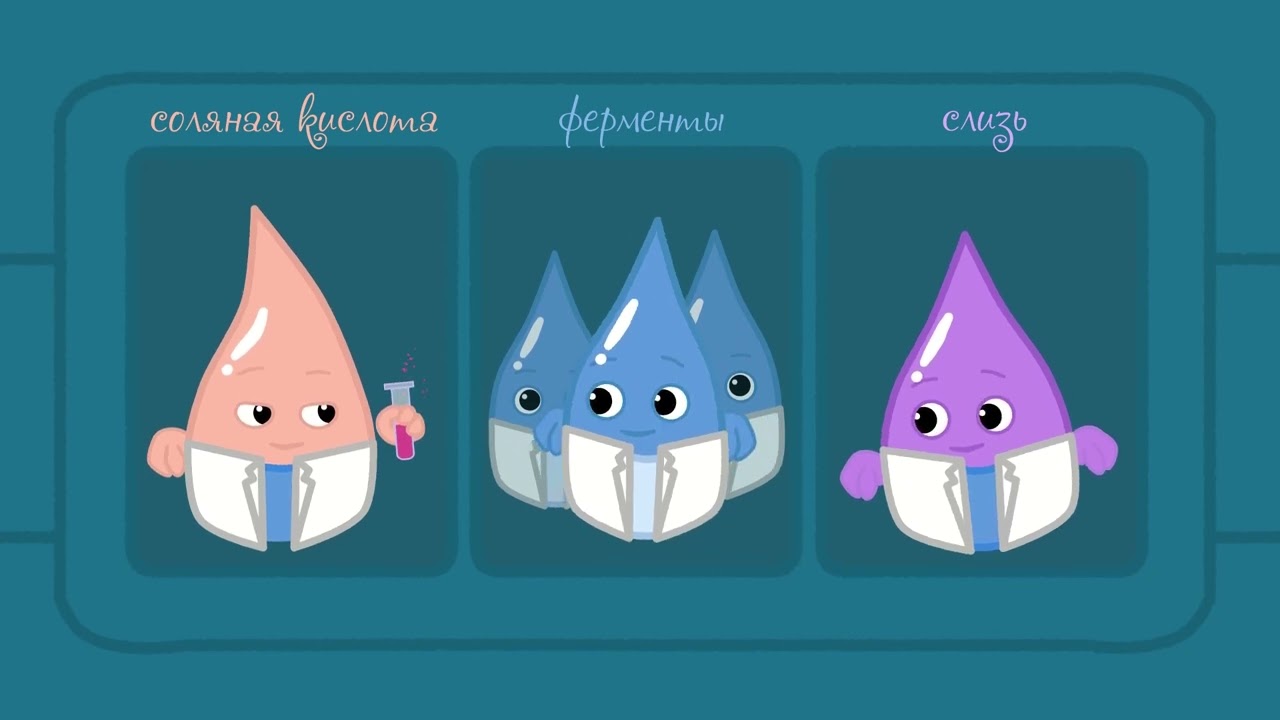 Как наш организм переваривает пищу? - YouTube