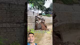 Mới Đầu Mùa Mưa Mà #farming