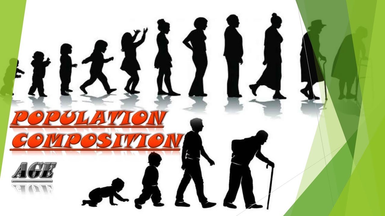 Age Composition of Population | Population Studies - YouTube