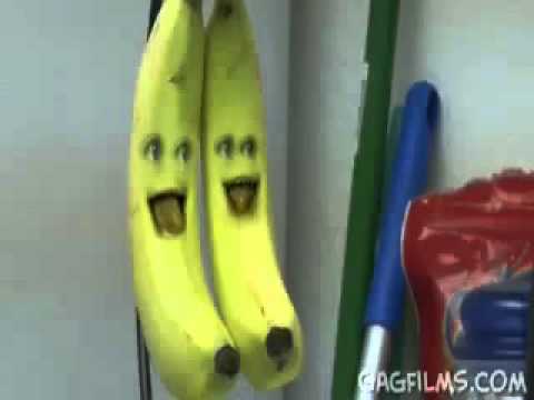 Прикол говорящие фрукты - YouTube