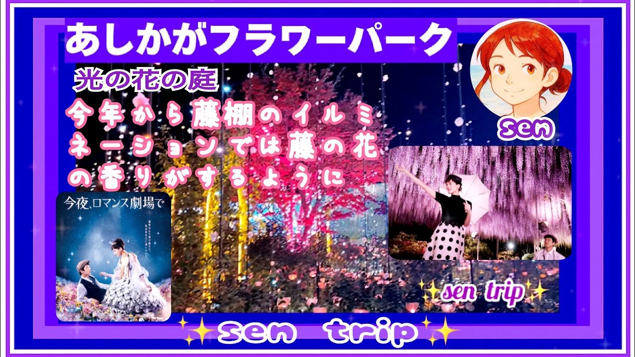 香るイルミネーションあしかがフラワーパーク    #あしかがフラワーパーク  #足利市  #ロケ地　#今夜ロマンス劇場で