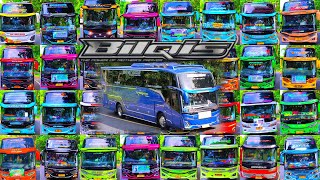 Kumpulan Klakson Telolet Basuri Terbaru Jangulee Bilqis Meliuk Liuk Di Sambut Ratusan Mania