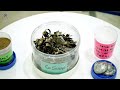 CSIR IMMT Video