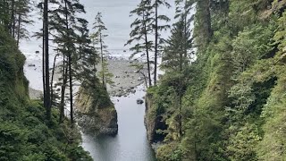 Two Sasquatch Recordings To Listen To And More by The Facts By Howtohunt . com 39,549 views 4 days ago 1 hour, 14 minutes