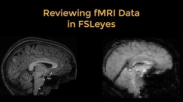 fMRI Short Course #3: Reviewing fMRI Data with FSLeyes