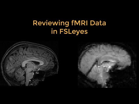 fMRI Short Course #3: Reviewing fMRI Data with FSLeyes