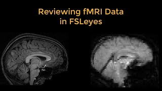 fMRI Short Course #3: Reviewing fMRI Data with FSLeyes