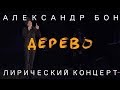 Александр Бон - Дерево | Лирический концерт | Стихи | LIVE