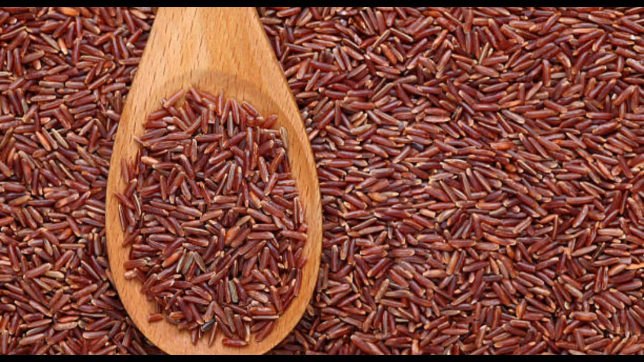 kattuyanam rice health benefits in tamil காட்டுயானம் அரிசி பயன்கள்