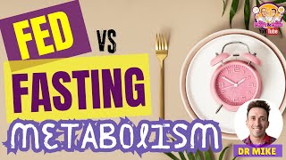 Fed vs Fasting Metabolism